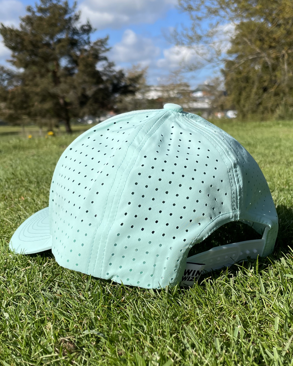 Mint - Snapback