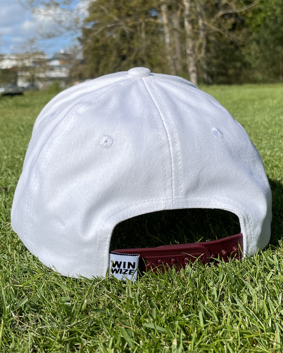 Vein - Snapback
